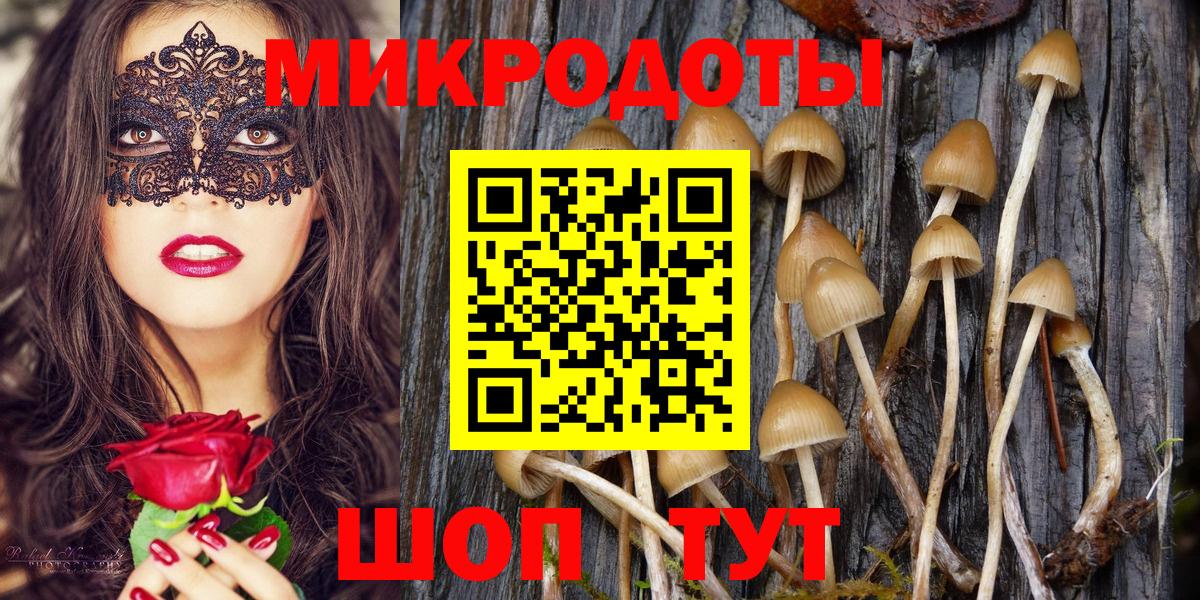 Псилоцибиновые грибы Psilocybine cubensis Наро-Фоминск