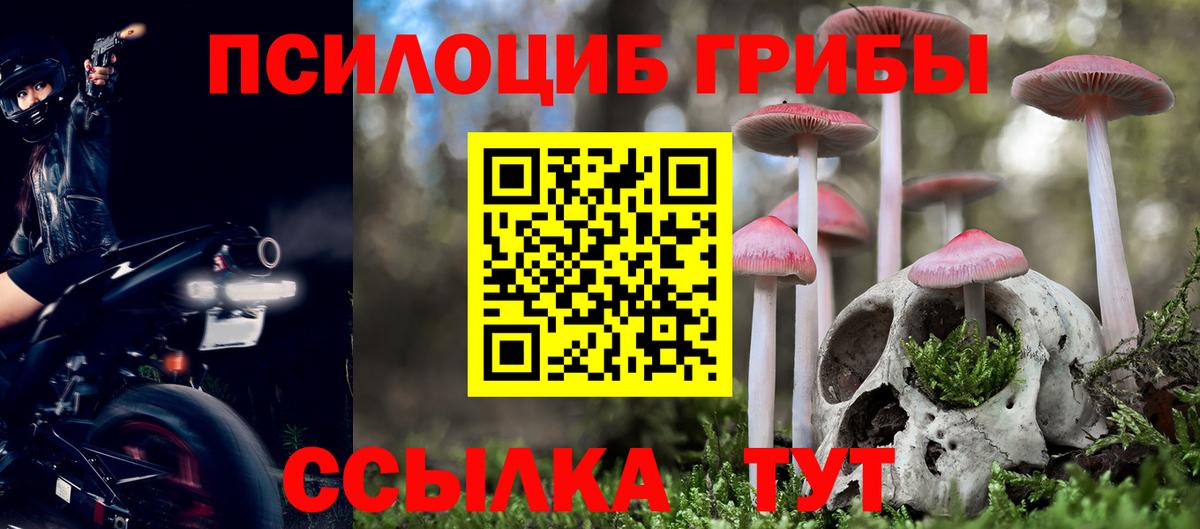 Наро-Фоминск  Галлюциногенные грибы мухоморы  сколько стоит  Вход с VPN  Псилоцибиновые грибы Magic Shrooms 